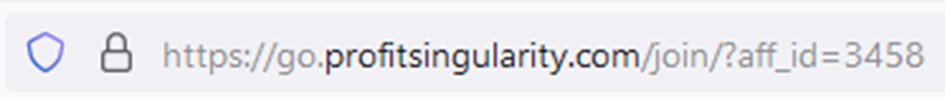 Profit Singularity URL
